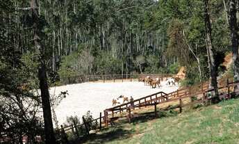 Imagem 7: FAZENDA RURAL em SÃO BENTO DO SAPUCAÍ - SP, São Bento