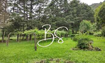 Imagem 6: SITIO RURAL em GRAMADO - RS, Linha 28