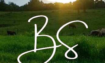 Imagem 2: AREA RESIDENCIAL em GRAMADO - RS, Estrada serra grande