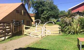 Imagem 3: FAZENDA RURAL em CAXIAS DO SUL - RS, Centro