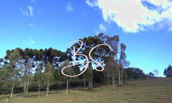 Imagem: SITIO RURAL em SÃO FRANCISCO DE PAULA