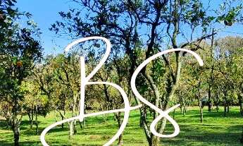 Imagem 2: SITIO RURAL em NOVA PETRÓPOLIS - RS, Linha Imperial