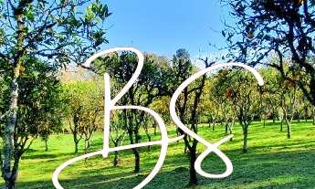 Imagem 4: SITIO RURAL em NOVA PETRÓPOLIS - RS, Linha Imperial