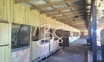 Imagem 2: FAZENDA RURAL em CAXIAS DO SUL - RS, Centro