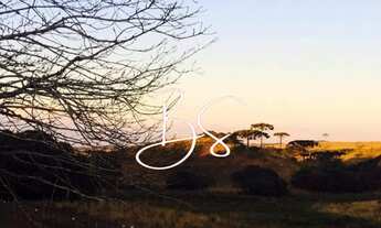 Imagem 7: FAZENDA RURAL em CAXIAS DO SUL - RS, Centro