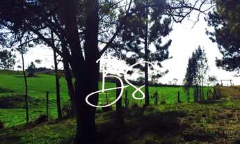 Imagem 6: FAZENDA RURAL em CAXIAS DO SUL - RS, Centro