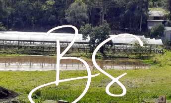 Imagem 2: Sitio RURAL em NOVA PETRÓPOLIS - RS, Linha Araripe