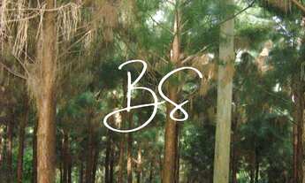 Imagem 3: AREA RURAL em GRAMADO - RS, Estrada Serra Grande