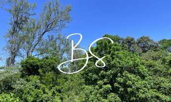 Imagem 4: SITIO RURAL em TRÊS COROAS - RS, RS 115