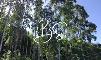 Imagem: AREA RURAL em SANTO ANTÔNIO DA PATRULHA