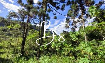 Imagem: SITIO RESIDENCIAL em TRÊS COROAS - RS