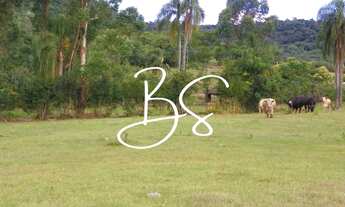 Imagem 5: SITIO RURAL em NOVA PETRÓPOLIS - RS, Linha Temerária