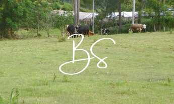 Imagem 3: SITIO RURAL em NOVA PETRÓPOLIS - RS, Linha Temerária