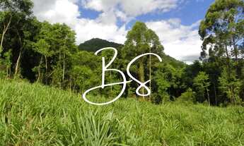 Imagem 6: SITIO RURAL em NOVA PETRÓPOLIS - RS, Linha Temerária