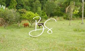 Imagem 4: SITIO RURAL em NOVA PETRÓPOLIS - RS, Linha Temerária