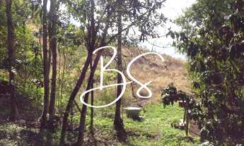 Imagem 3: SITIO RURAL em NOVA PETRÓPOLIS - RS, Linha Pirajá Baixa