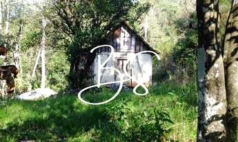 Imagem 2: SITIO RURAL em NOVA PETRÓPOLIS - RS, Linha Pirajá Baixa