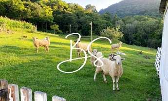 Imagem 3: SITIO RURAL em CANELA - RS, Linha São Paulo