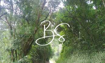 Imagem 2: SITIO RURAL em Santa Lúcia do Piai - RS, Linha Brasil