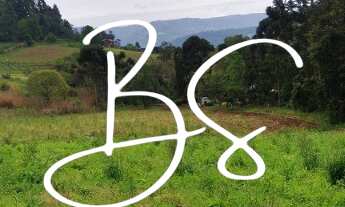 Imagem: AREA RURAL em NOVA PETRÓPOLIS - RS, Centro