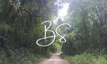 Imagem 4: SITIO RURAL em Santa Lúcia do Piai - RS, Linha Brasil