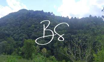 Imagem 3: SITIO RURAL em Santa Lúcia do Piai - RS, Linha Brasil