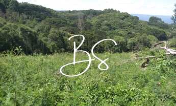 Imagem 4: SITIO RURAL em IGREJINHA - RS, Serra Grande