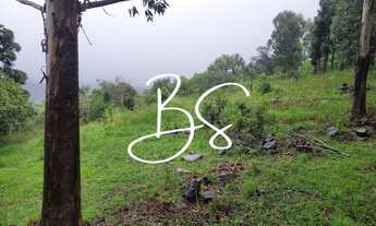 Imagem 5: SITIO RESIDENCIAL em IGREJINHA - RS, Nova Aurora