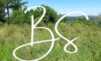 Imagem: SITIO RURAL em TAQUARA - RS, Padilha