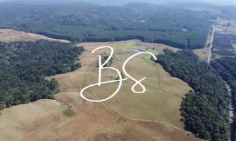 Imagem 2: AREA RURAL em SÃO FRANCISCO DE PAULA - RS, São Francisco de Paula