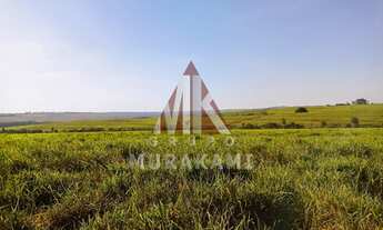 Imagem: FAZENDA - UMUARAMA - PARANÁ