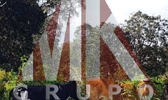 Imagem 5: RIO VERDE - MATO GROSSO DO SUL