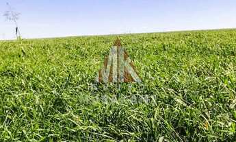 Imagem 3: FAZENDA - NAVIRÁI - MS