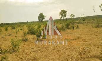 Imagem: FAZENDA - CAMPO GRANDE - MS