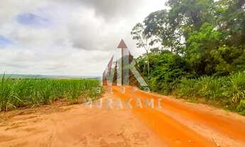 Imagem: FAZENDA - MARECHAL CANDIDO RONDON - PR