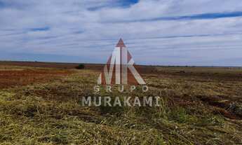 Imagem 4: FAZENDA - ITAQUIRAÍ - MS