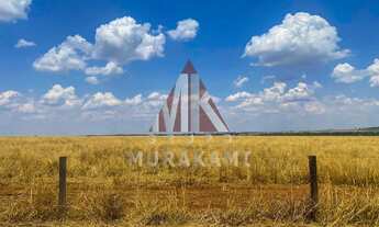 Imagem 3: FAZENDA - PARANATINGA - MATO GROSSO