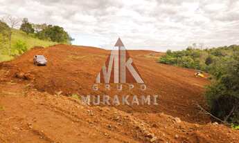 Imagem: FAZENDA - PALMITAL - PARANÁ