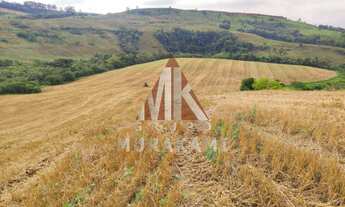 Imagem 4: FAZENDA - PALMITAL - PARANÁ