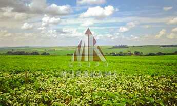 Imagem 6: FAZENDA - PIQUIRAVAÍ - PR