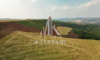 Imagem 2: FAZENDA - PALMITAL - PARANÁ