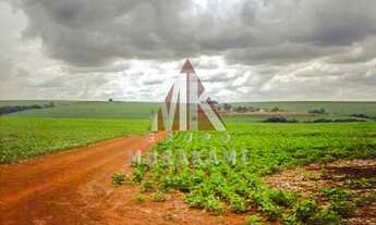 Imagem 7: FAZENDA - PIQUIRAVAÍ - PR