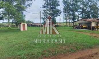 Imagem 6: FAZENDA - CAMPO GRANDE - MS