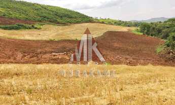 Imagem 5: FAZENDA - PALMITAL - PARANÁ