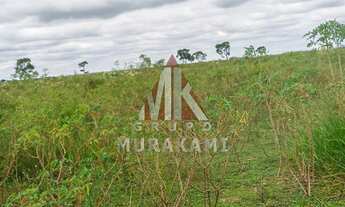 Imagem 2: FAZENDA - NAVIRÁI - MS