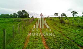 Imagem: FAZENDA - PARANATINGA - MT