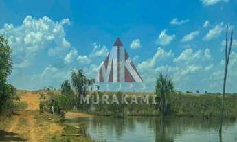 Imagem 4: FAZENDA - PARANATINGA - MATO GROSSO