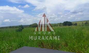 Imagem 2: FAZENDA - SÃO GABRIEL DO OESTE - MS