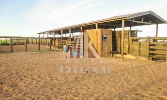 Imagem 2: FAZENDA - CAMAPUÃ - MS