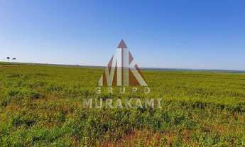 Imagem 5: NAVIRAÍ - MATO GROSSO DO SUL